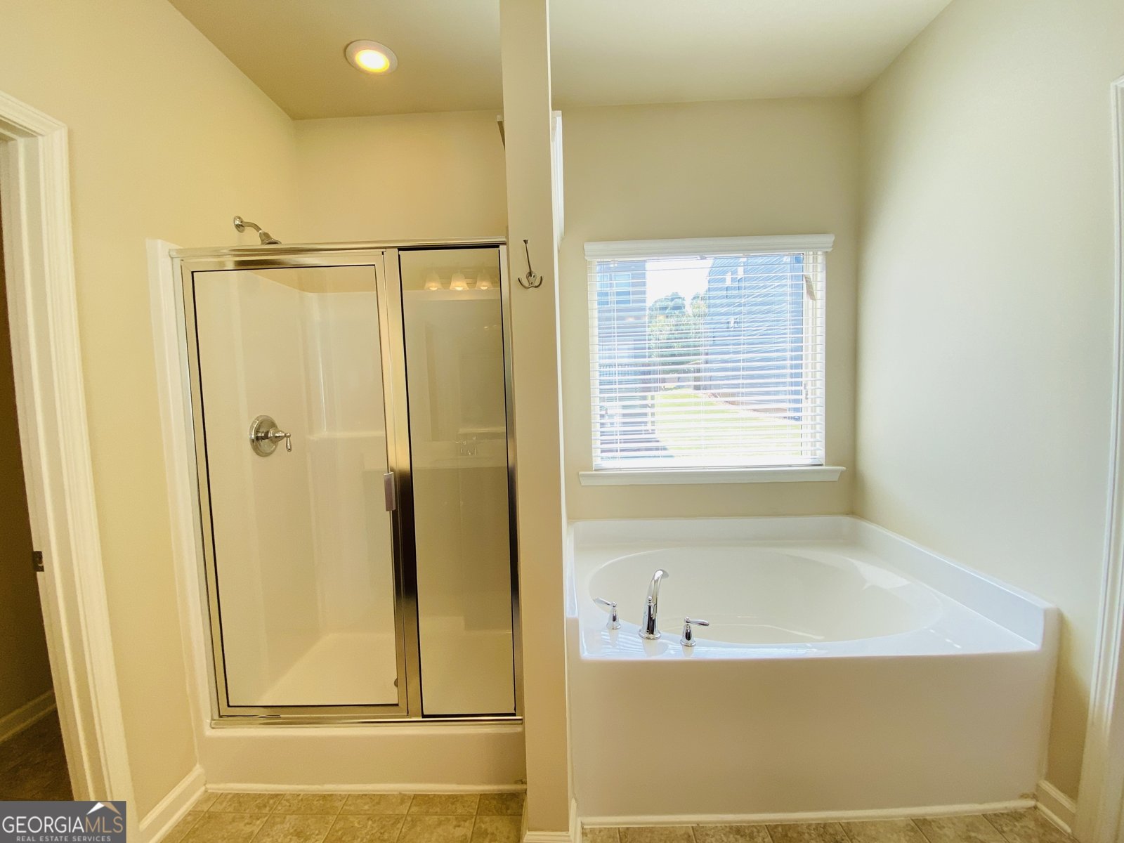 1509 Charcoal Ives Road Lawrenceville - 19