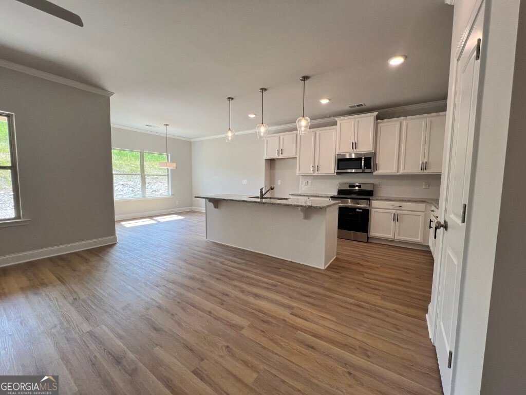 167 Greenview Court Homer - 4