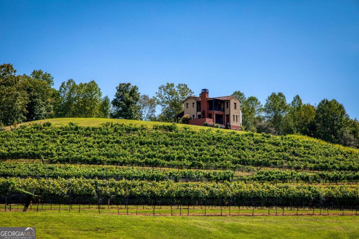 48 Piazza Pomino Dahlonega - 2