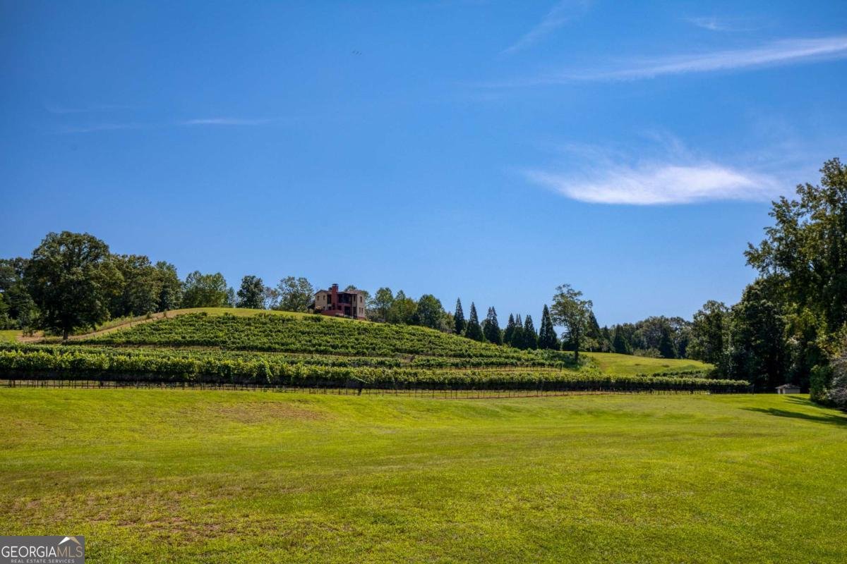 48 Piazza Pomino Dahlonega - 35