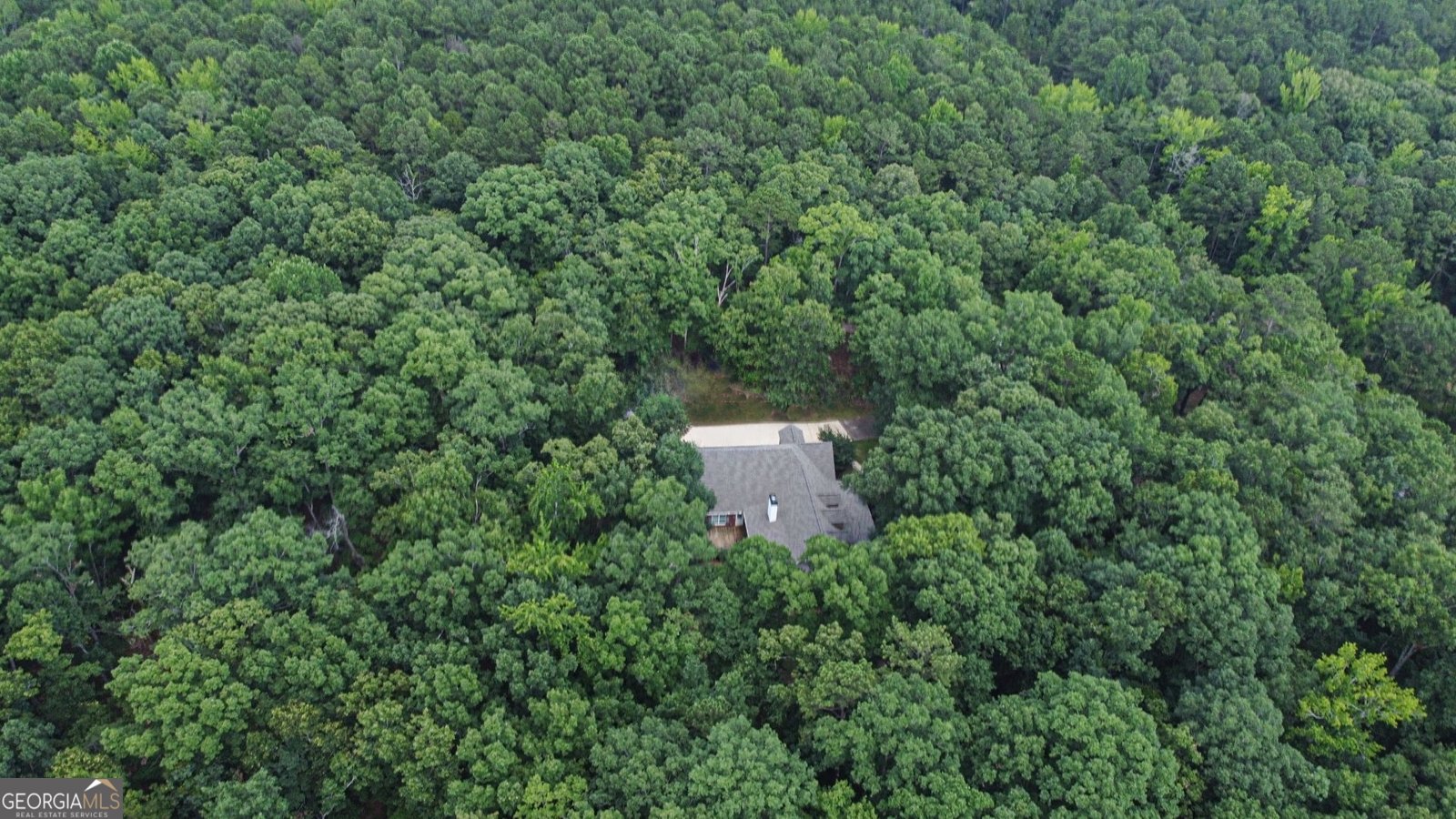 247 Cold Springs Road Pine Mountain - 6