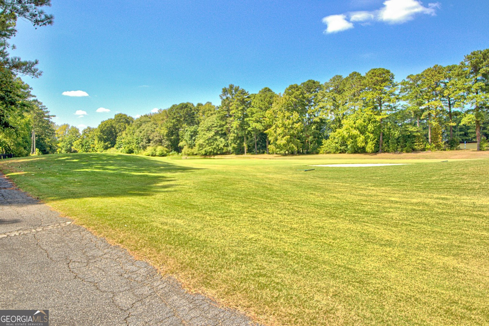 313 Evian Way Peachtree City - 12