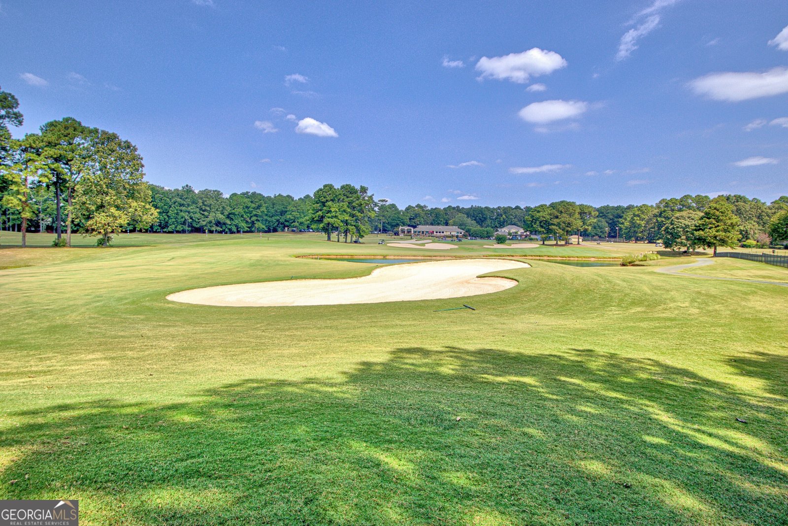 313 Evian Way Peachtree City - 15