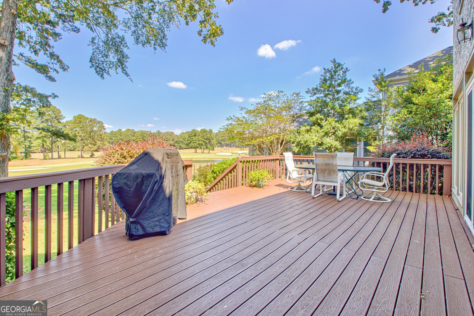 313 Evian Way Peachtree City - 2