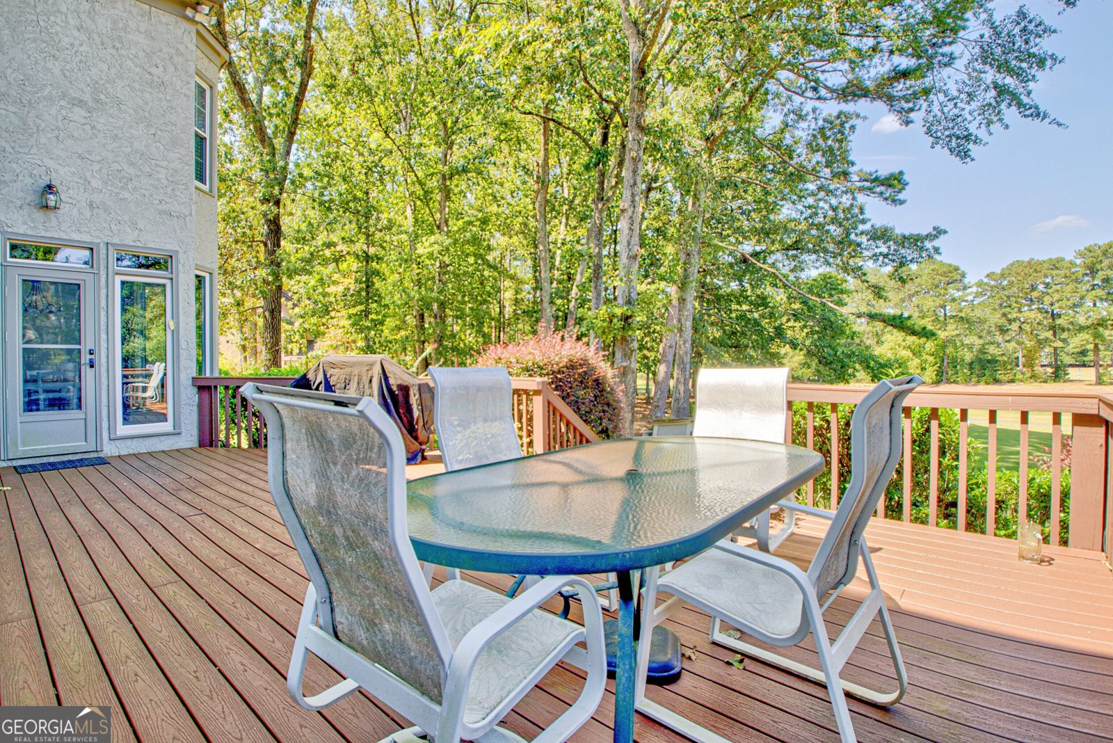 313 Evian Way Peachtree City - 3