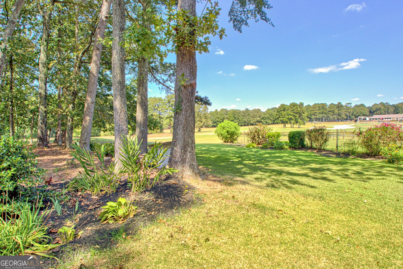 313 Evian Way Peachtree City - 8