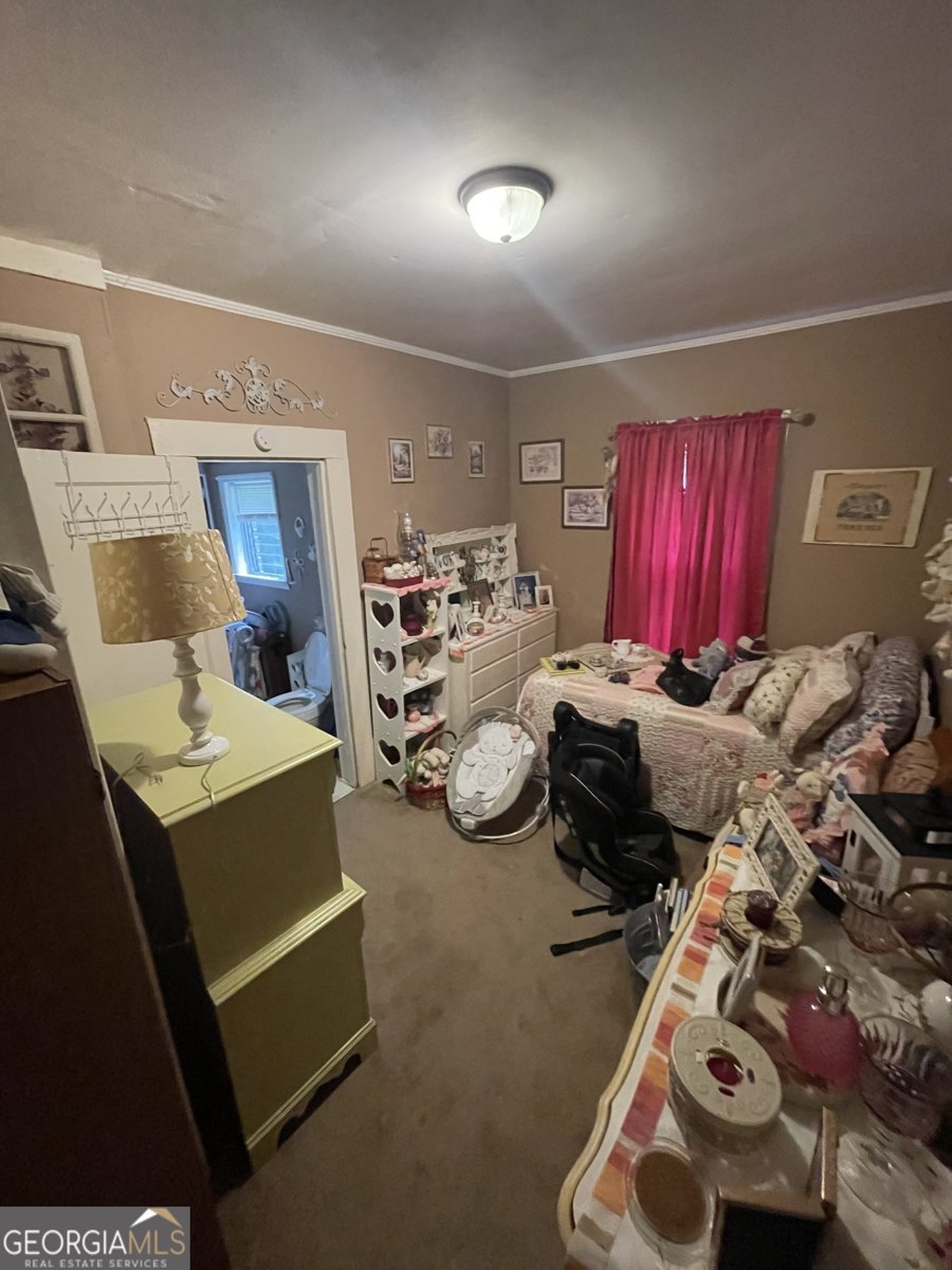 7474 Highway 27 Buchanan - 14