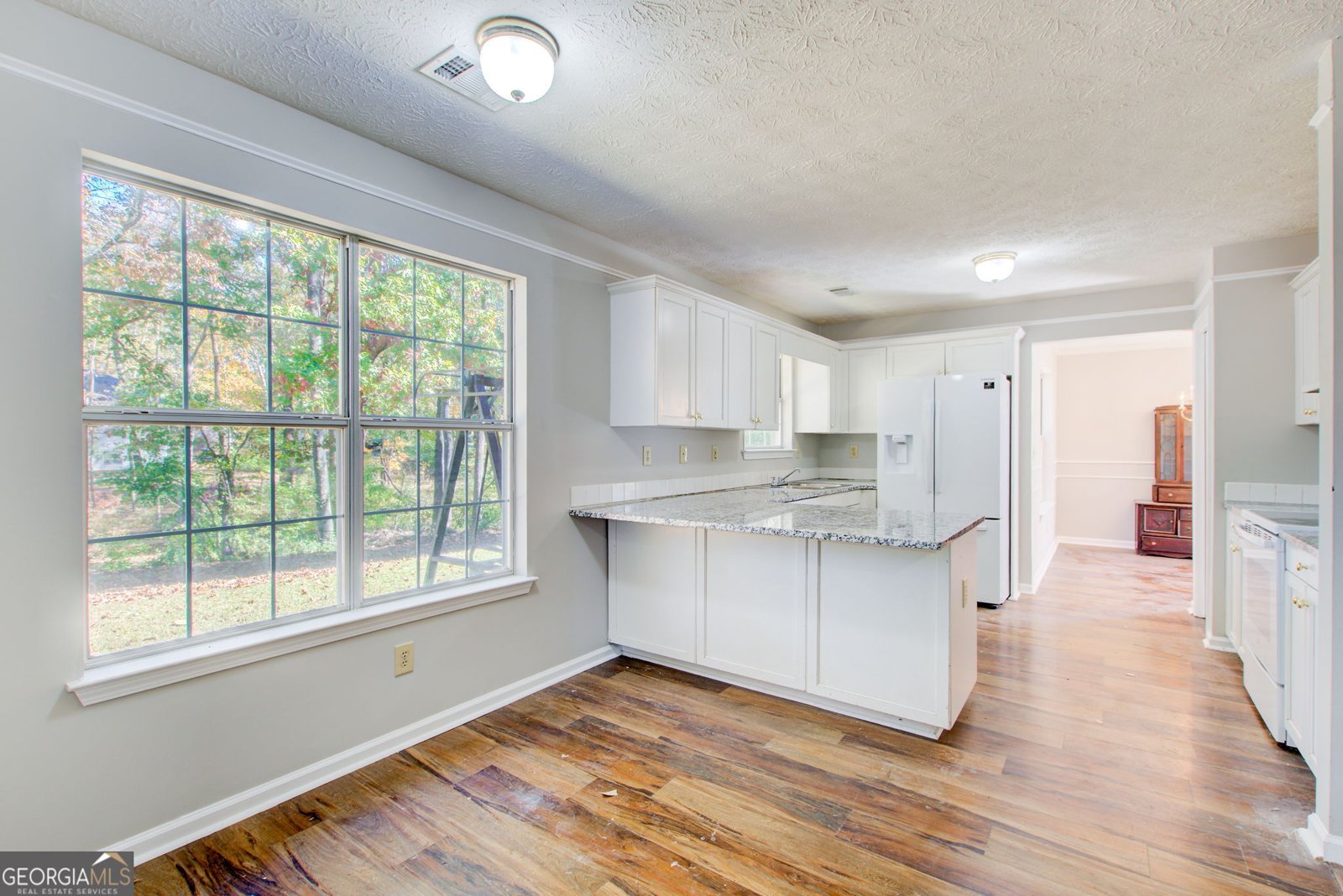 219 SCENIC Drive Mcdonough - 10