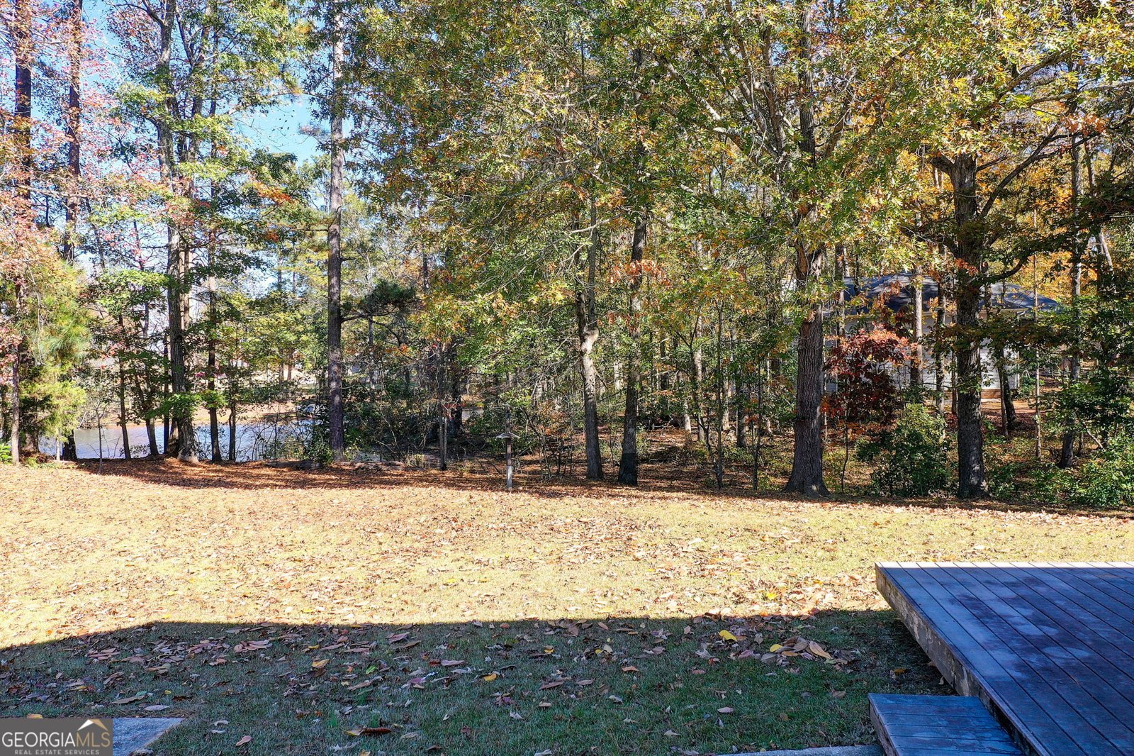 219 SCENIC Drive Mcdonough - 15