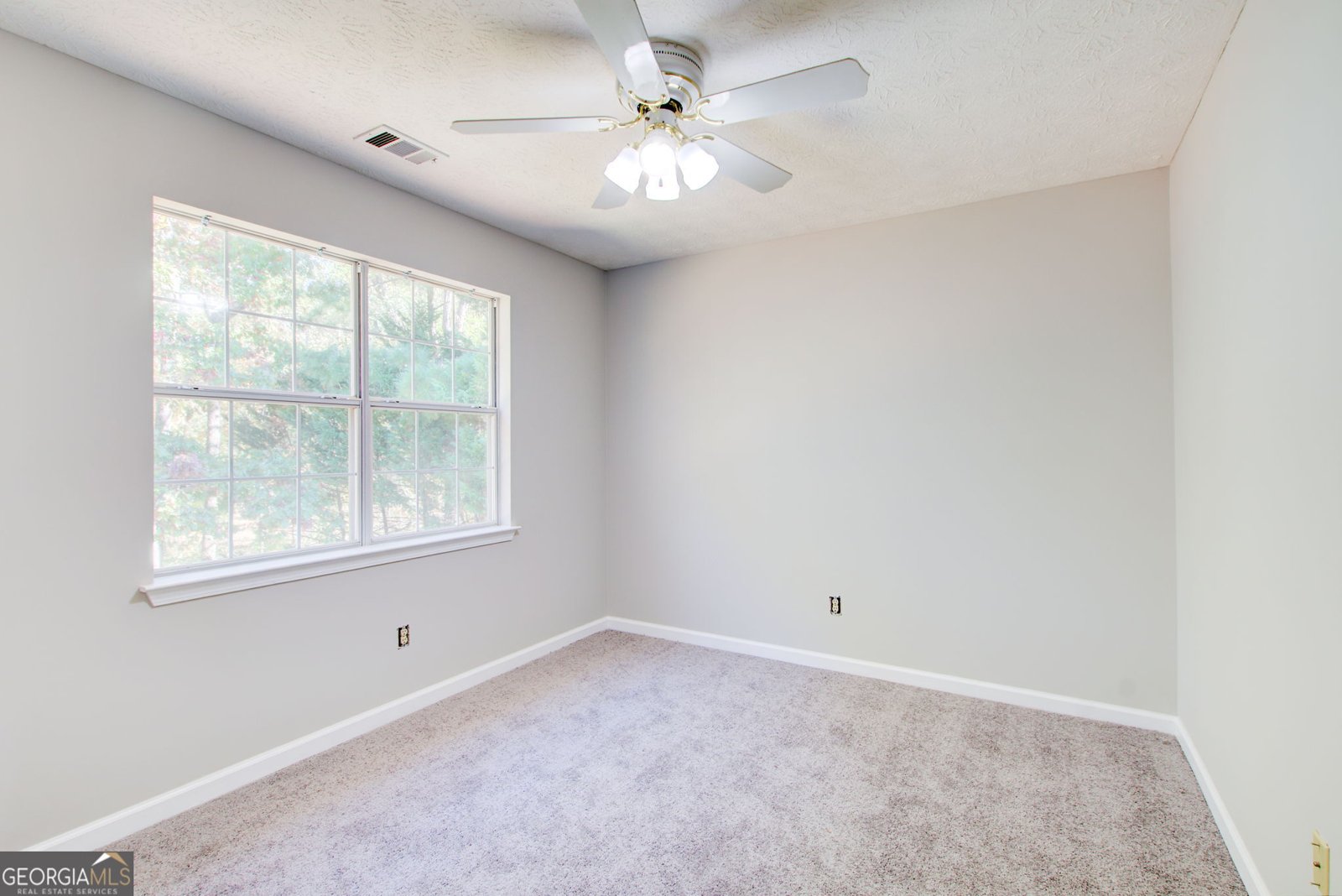 219 SCENIC Drive Mcdonough - 20