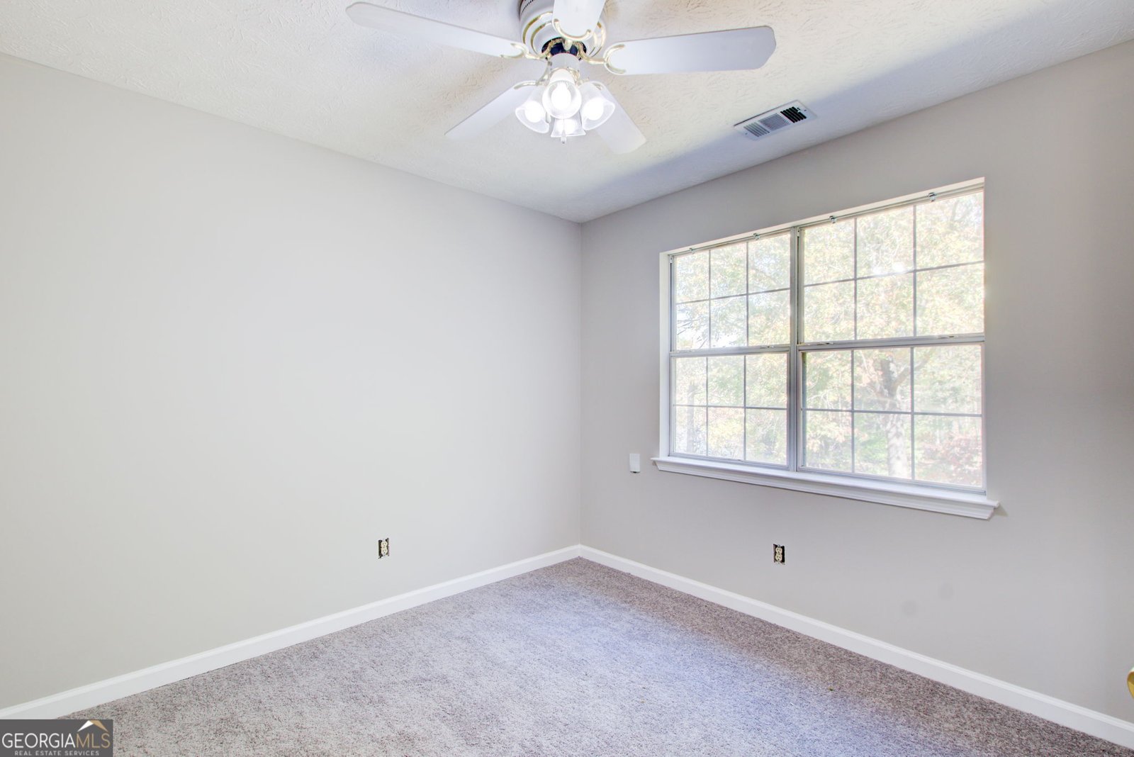 219 SCENIC Drive Mcdonough - 22