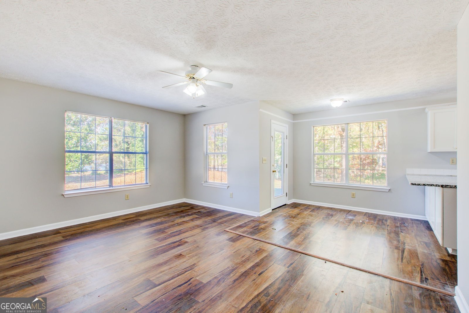 219 SCENIC Drive Mcdonough - 9