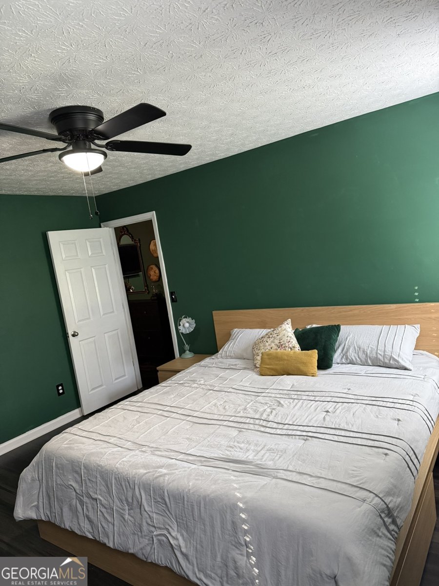 25 Peeks Court Senoia - 19