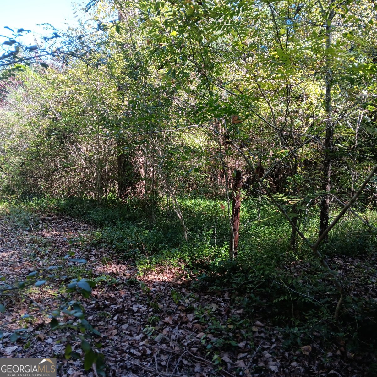 4377 Rock Mills Road Franklin - 6