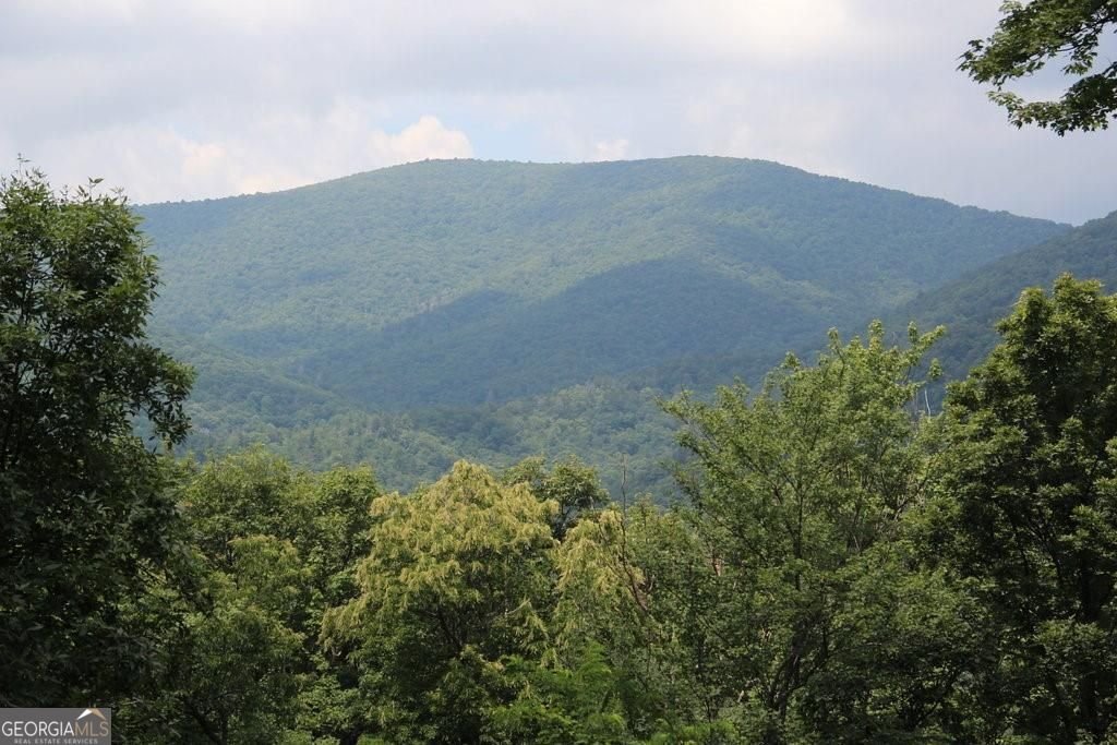 328 Morton Drive Ellijay - 1