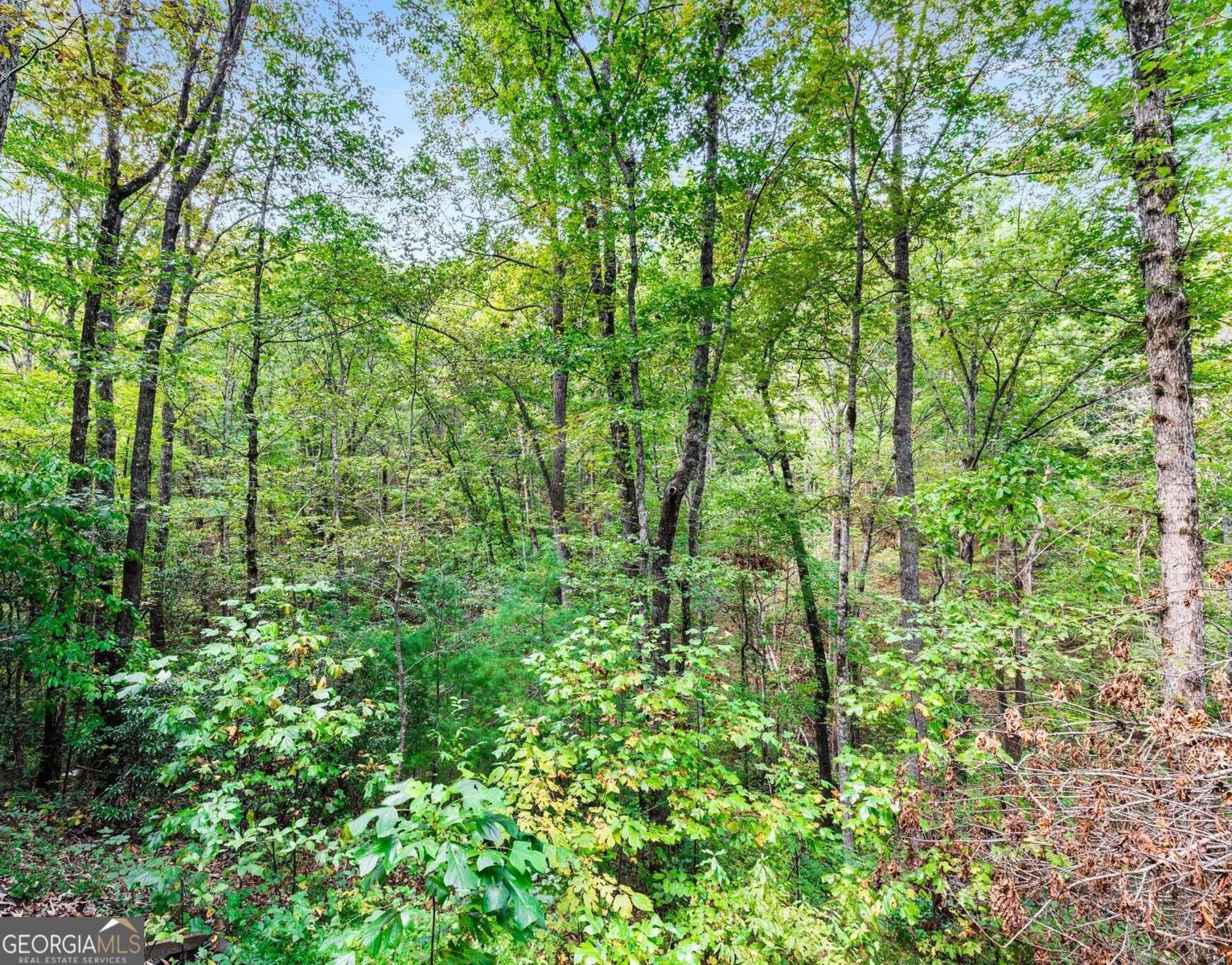 328 Morton Drive Ellijay - 22