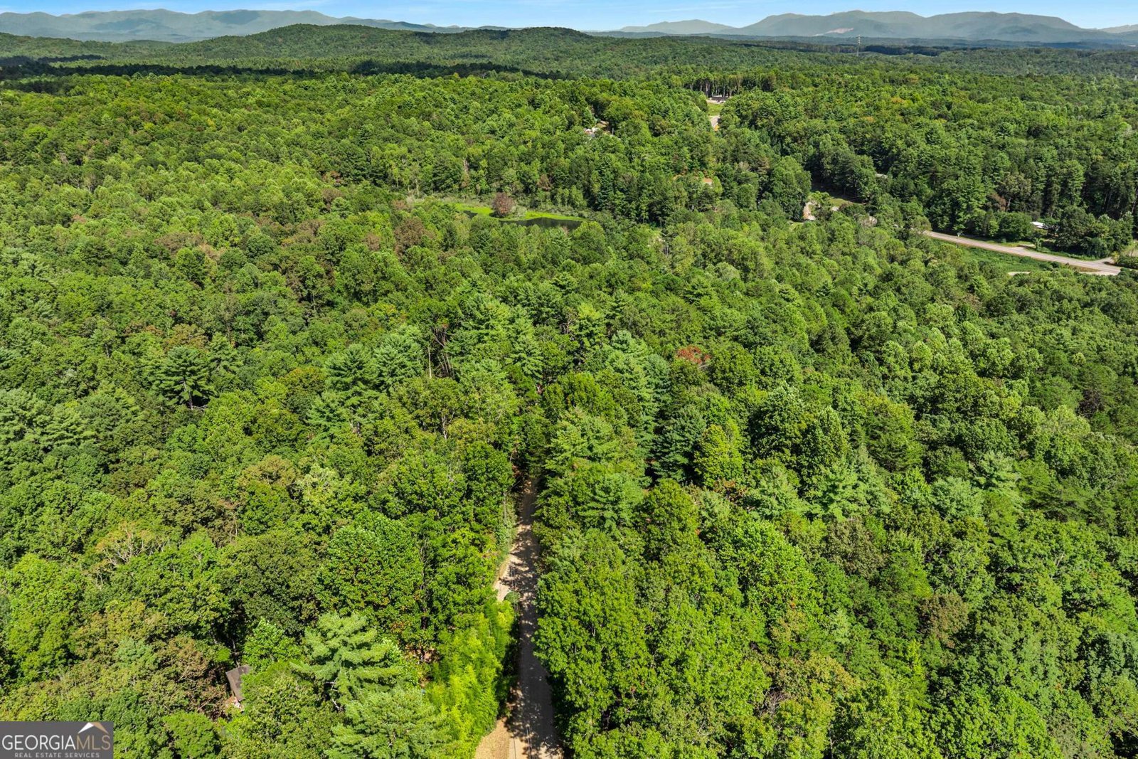 328 Morton Drive Ellijay - 29