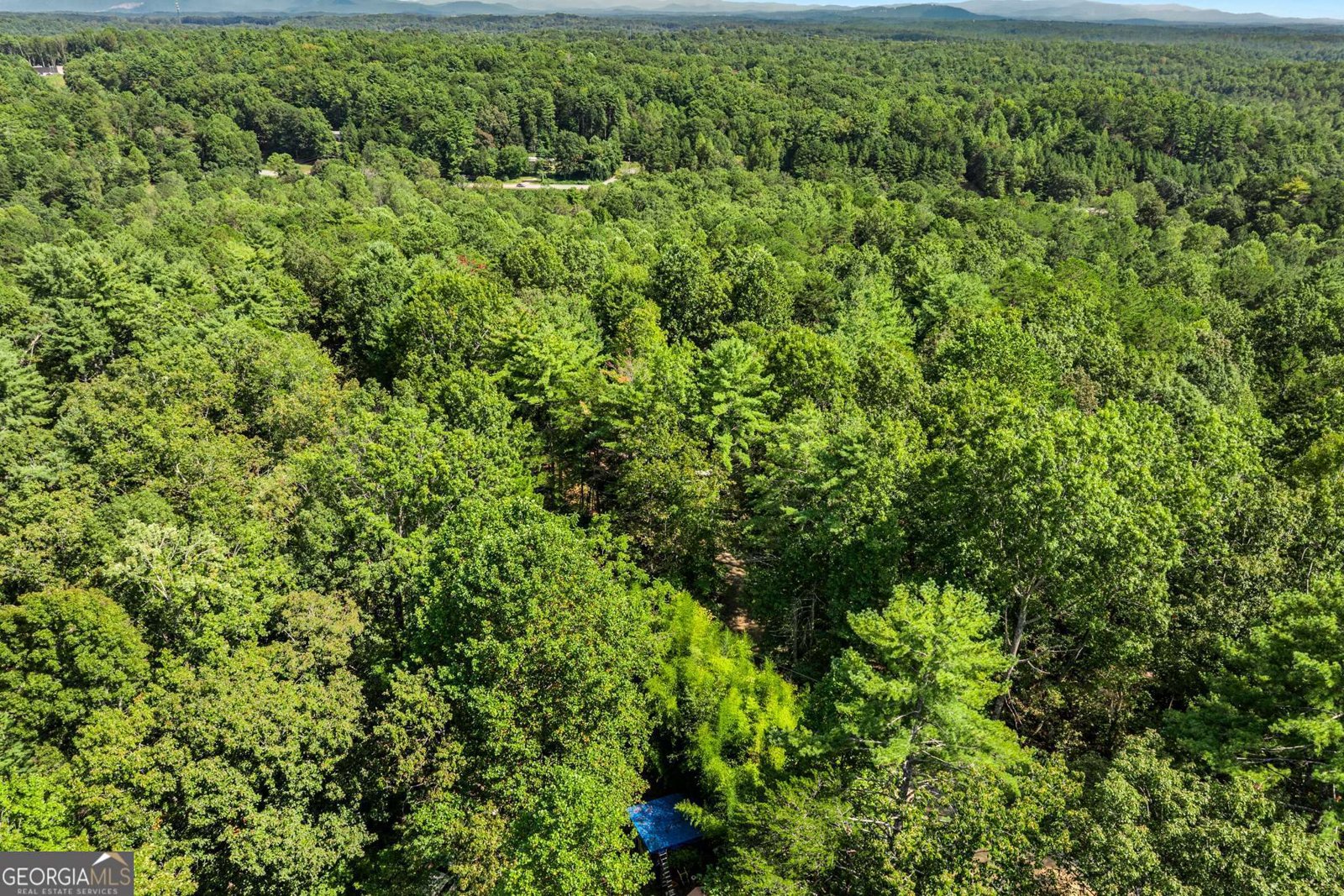 328 Morton Drive Ellijay - 30