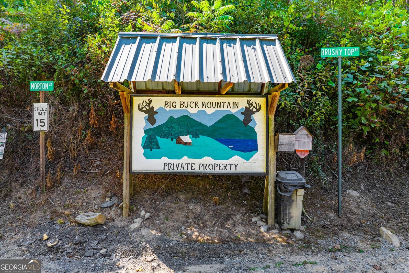 328 Morton Drive Ellijay - 34