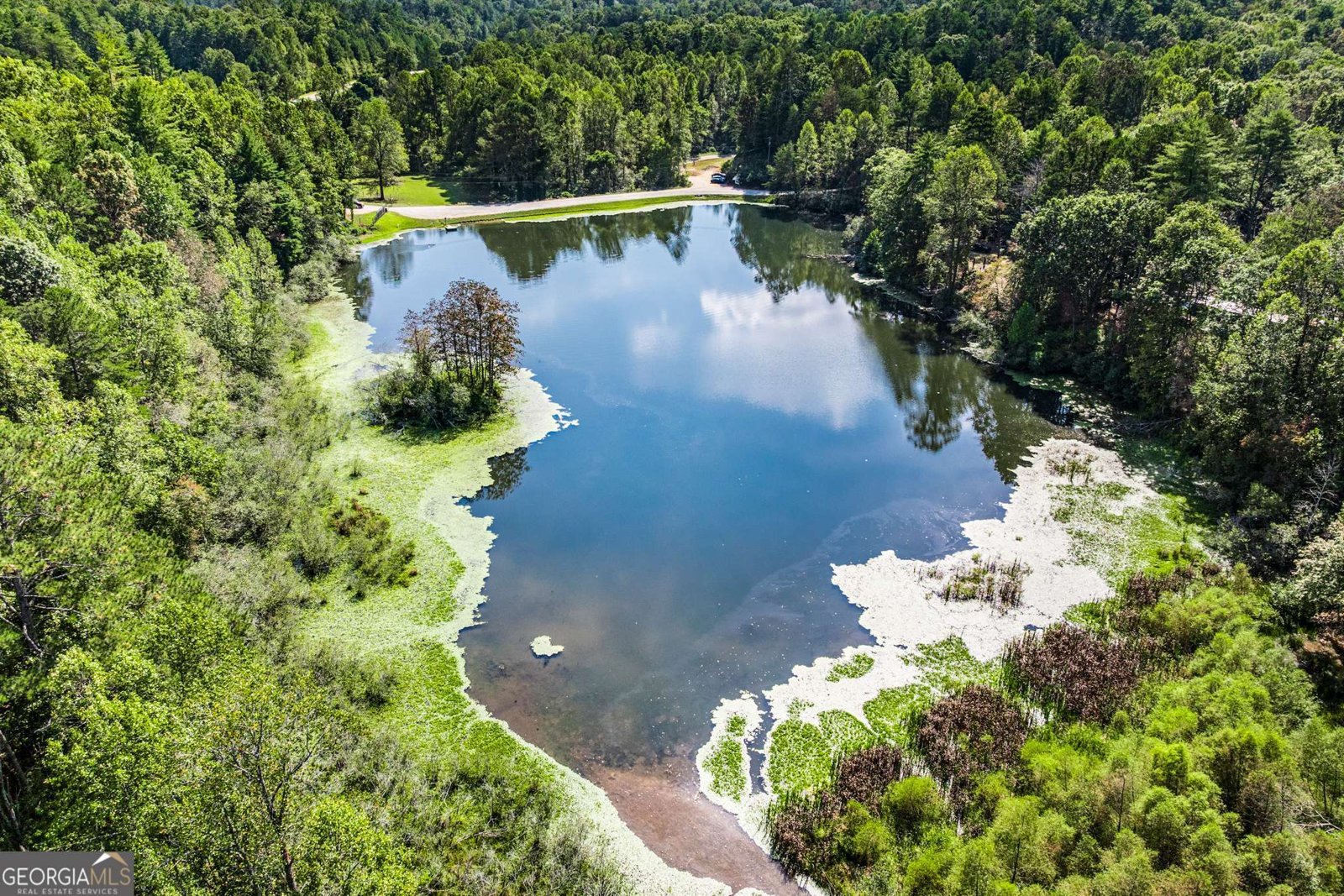 328 Morton Drive Ellijay - 36