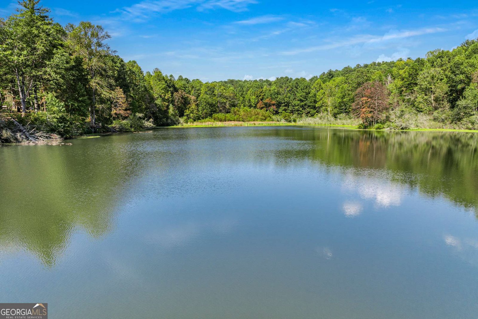 328 Morton Drive Ellijay - 37