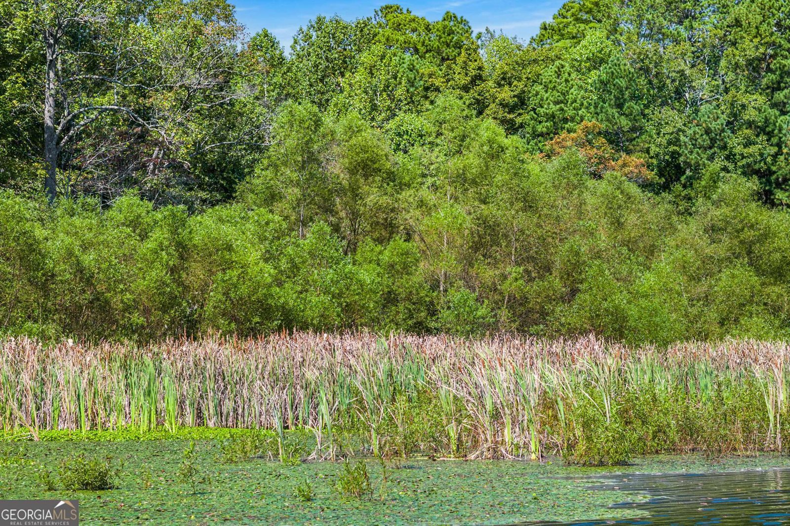 328 Morton Drive Ellijay - 38