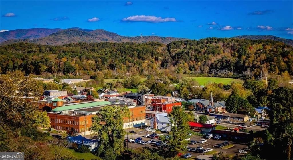 328 Morton Drive Ellijay - 39