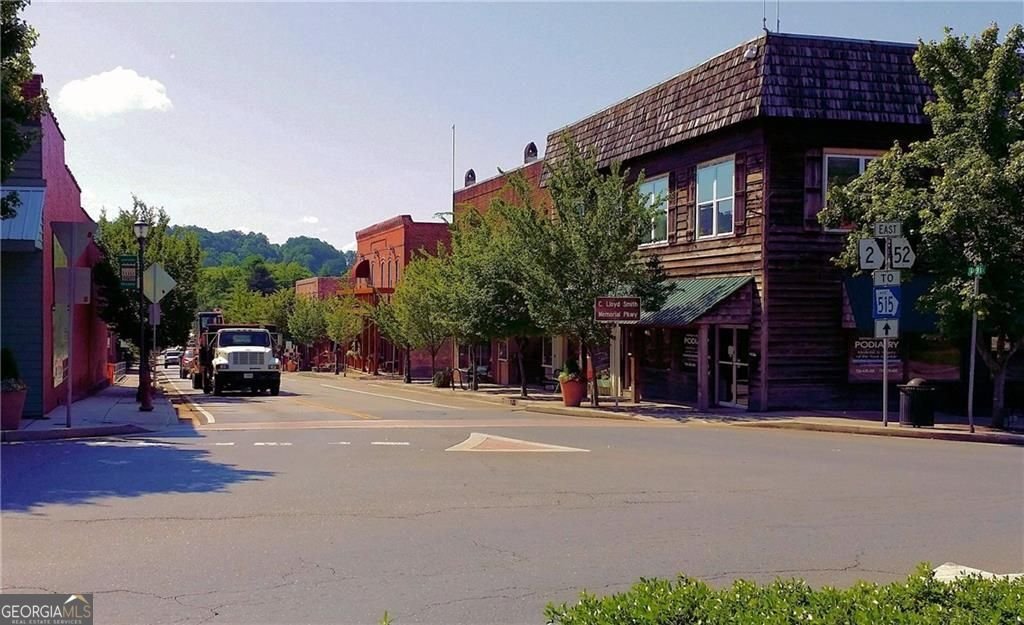 328 Morton Drive Ellijay - 40