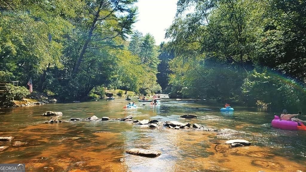 328 Morton Drive Ellijay - 41