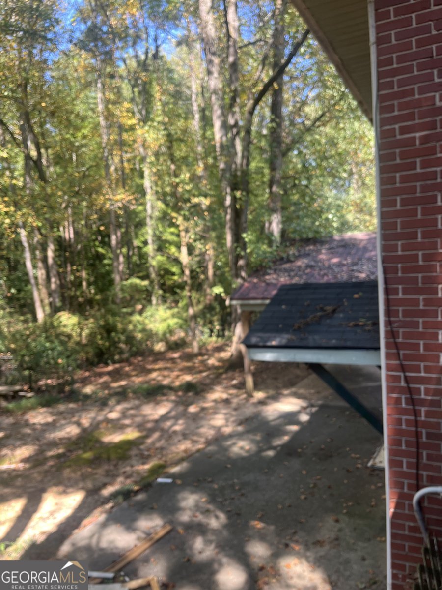 4311 Short Street Douglasville - 12