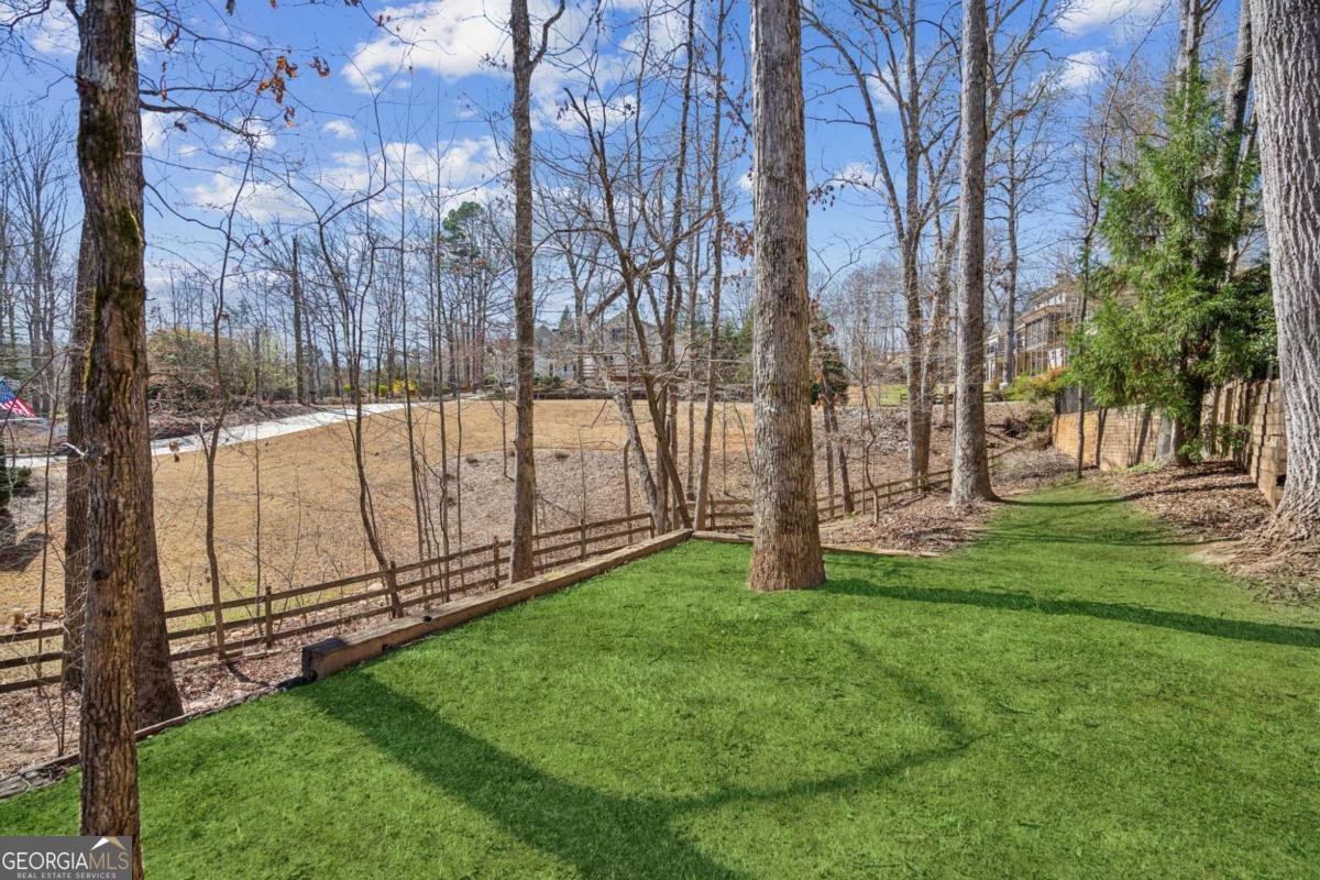 1070 Dogwood Way Dawsonville - 56
