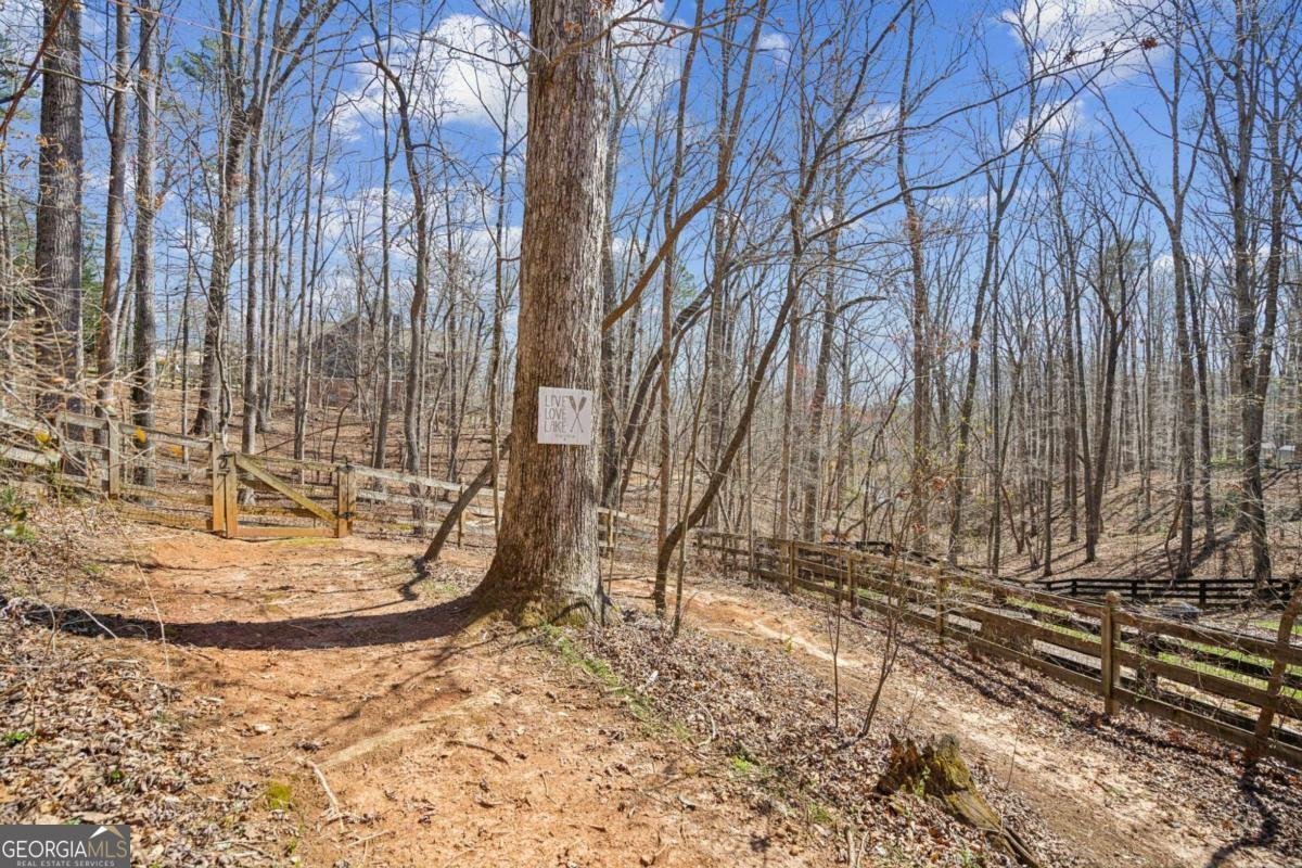 1070 Dogwood Way Dawsonville - 61