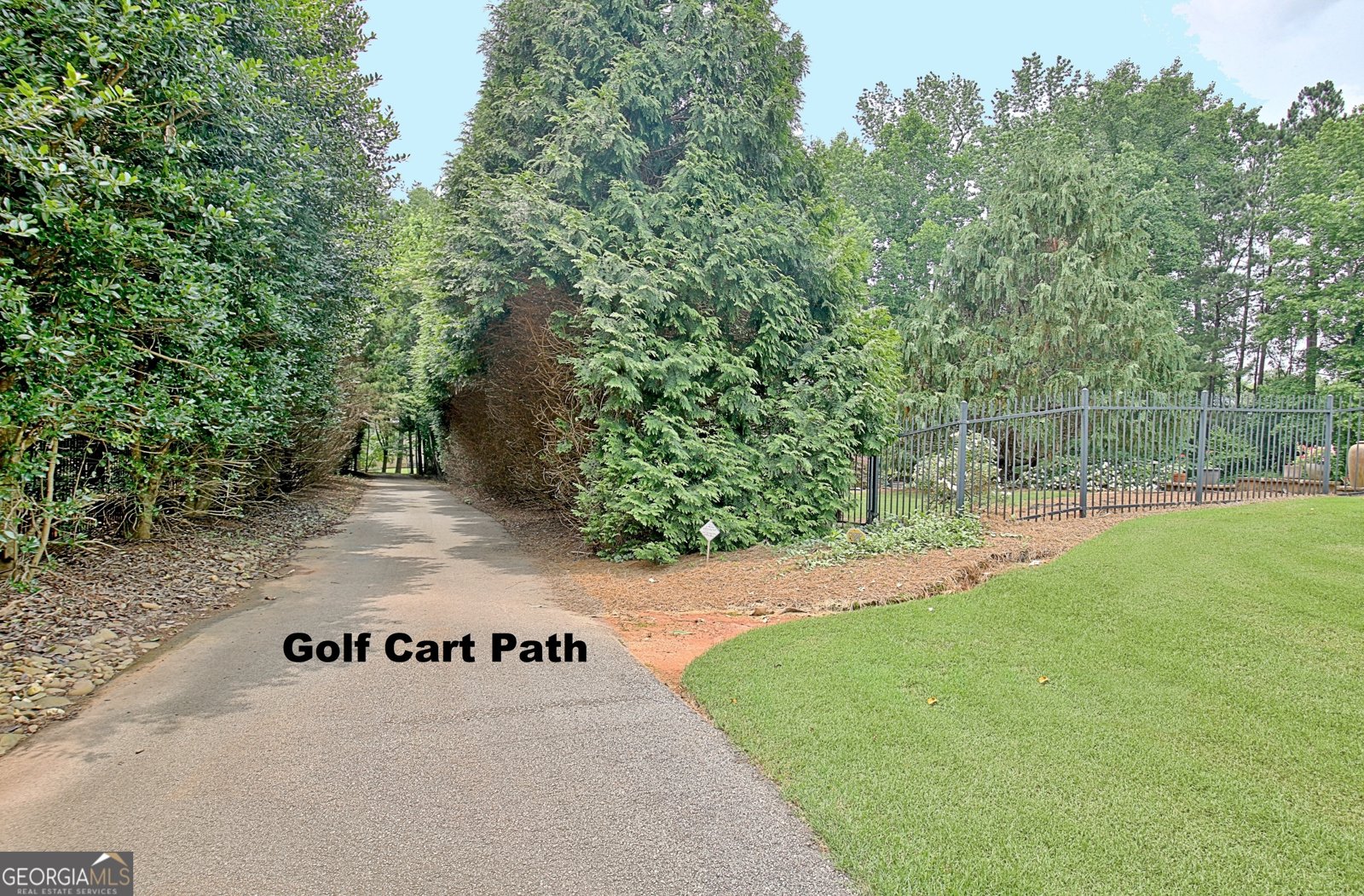 104 Hidden Springs Lane Peachtree City - 32