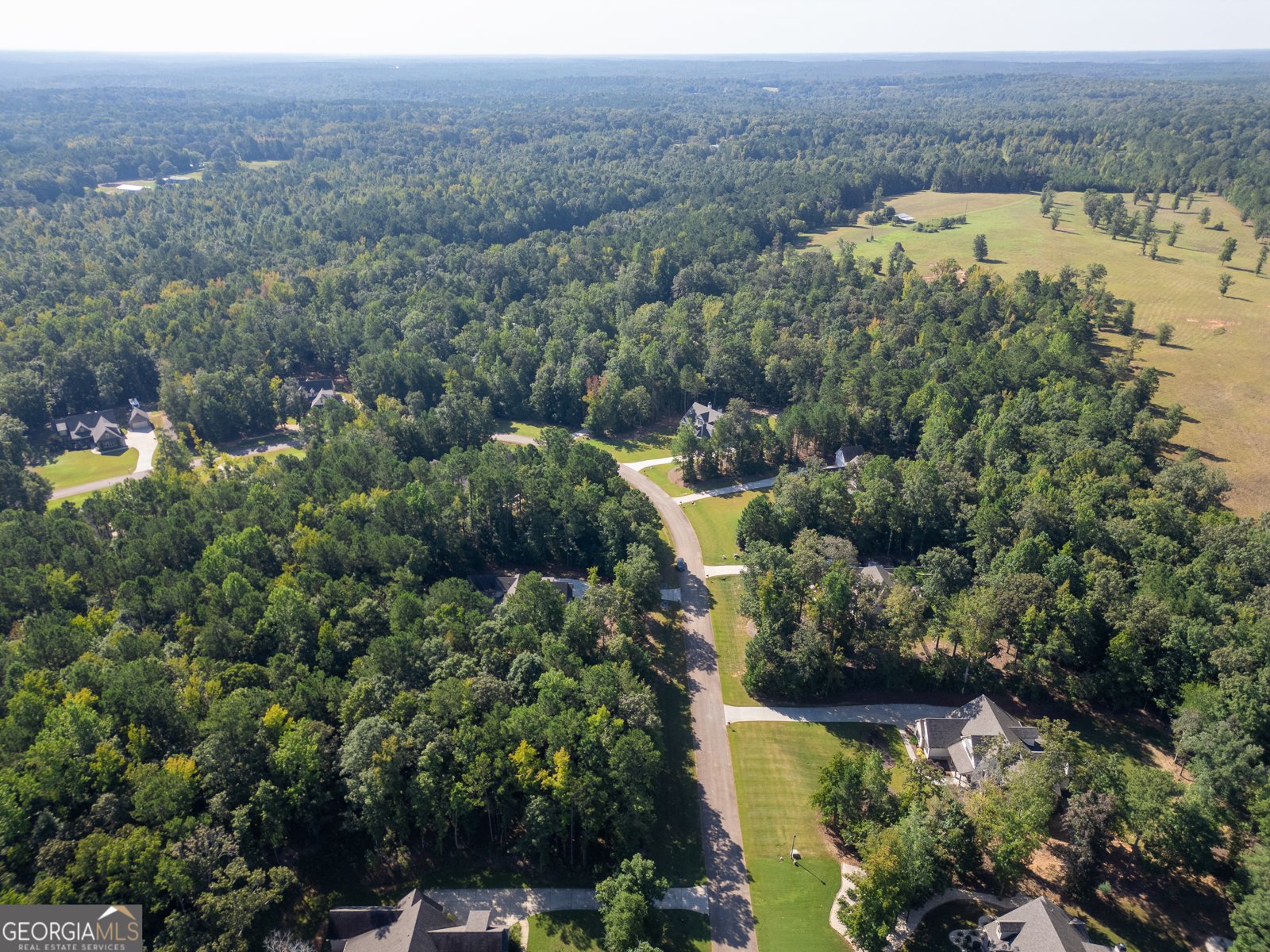 331 Preakness Way Forsyth - 1