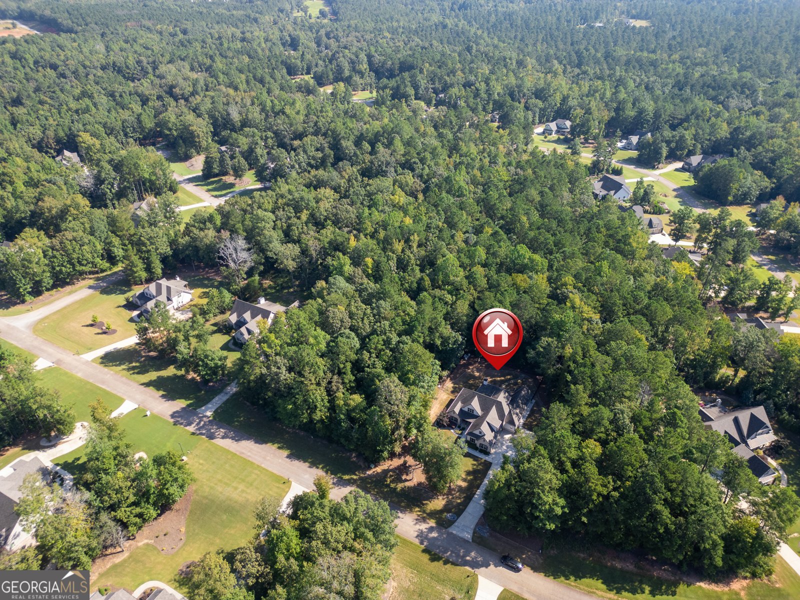 331 Preakness Way Forsyth - 77
