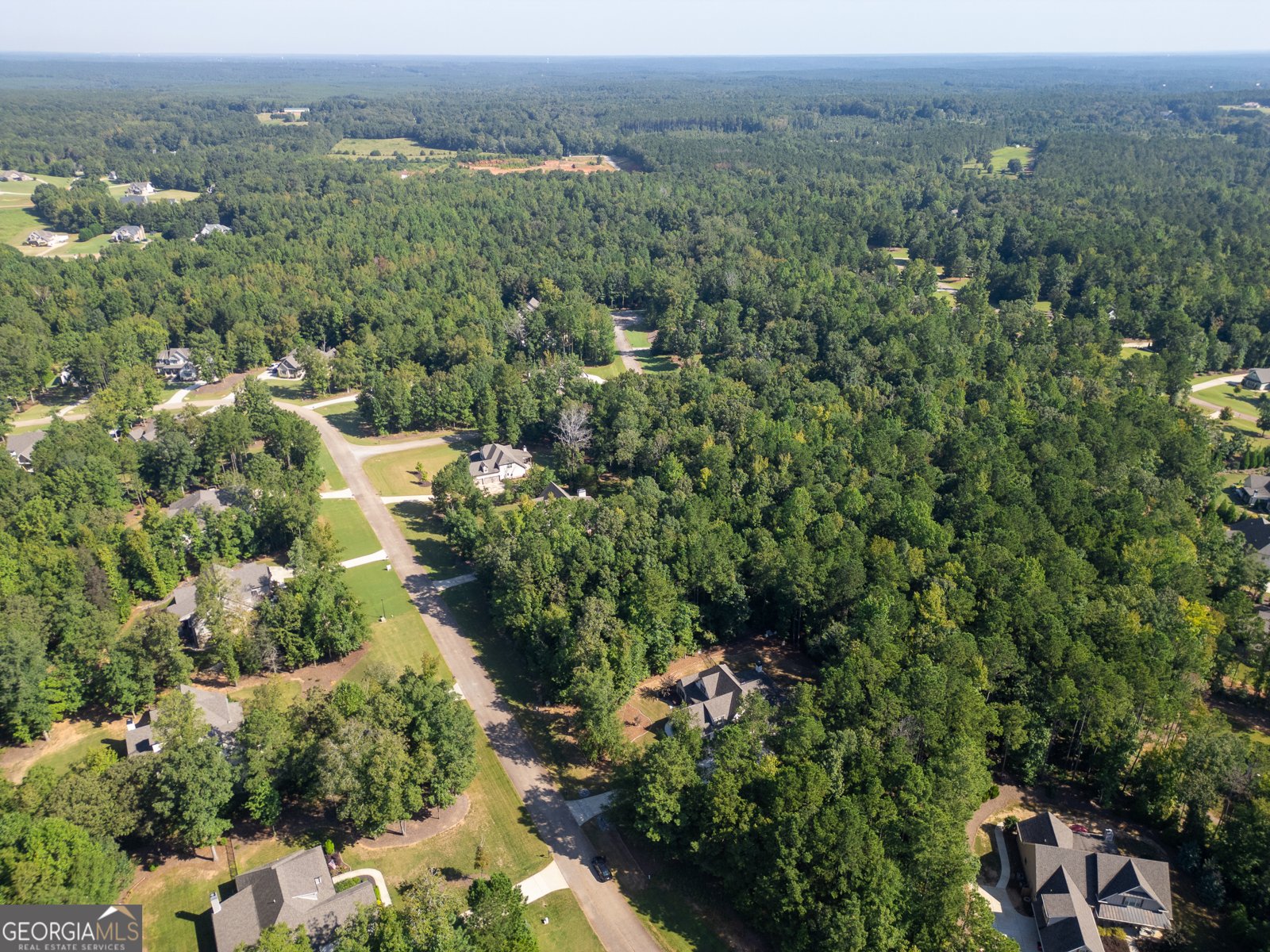 331 Preakness Way Forsyth - 78