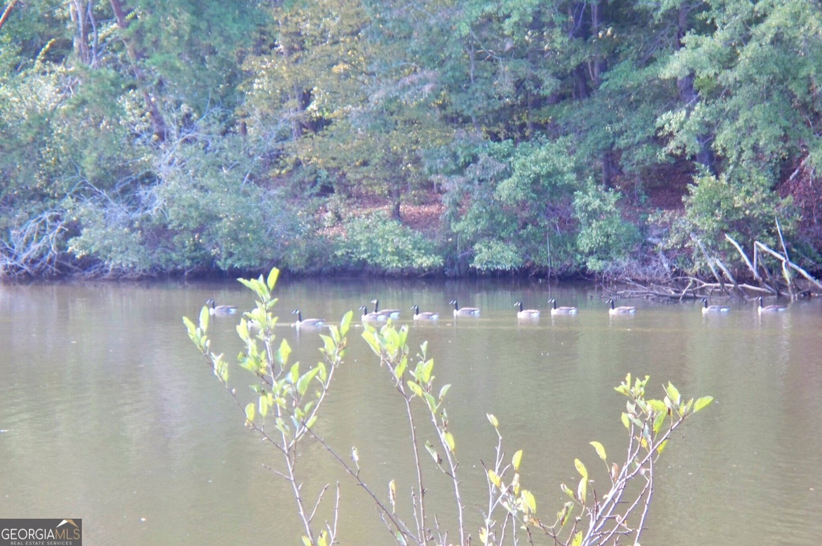 271 Steel Bridge Rd Road Eatonton - 38