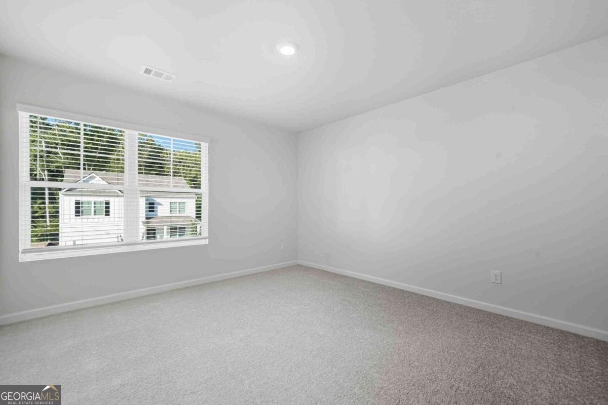 556 Quail Pass Dawsonville - 29