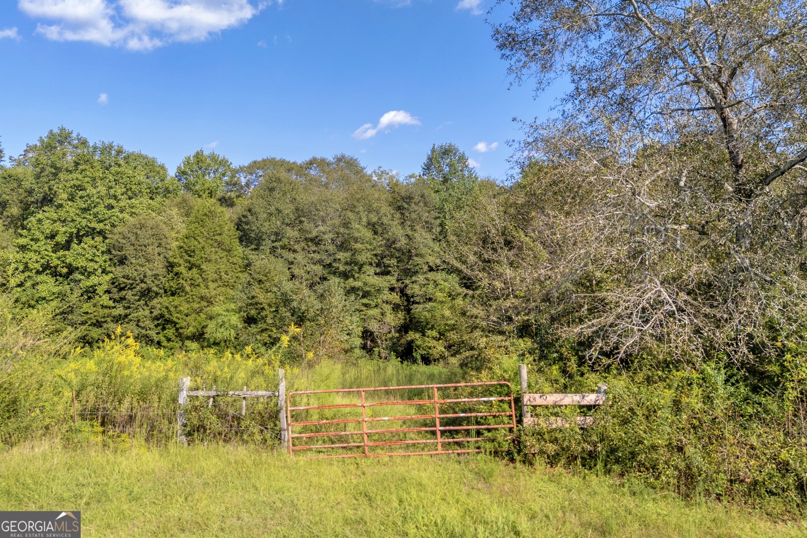 2448 Allen White Road Bowman - 27
