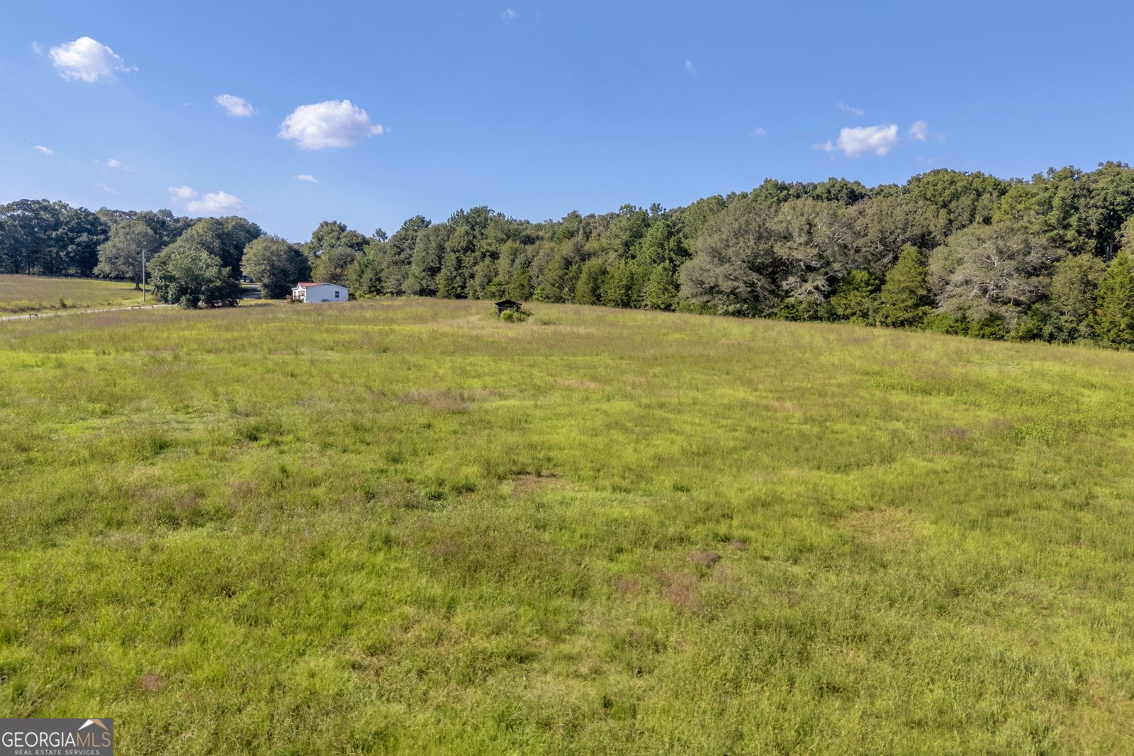 2448 Allen White Road Bowman - 41