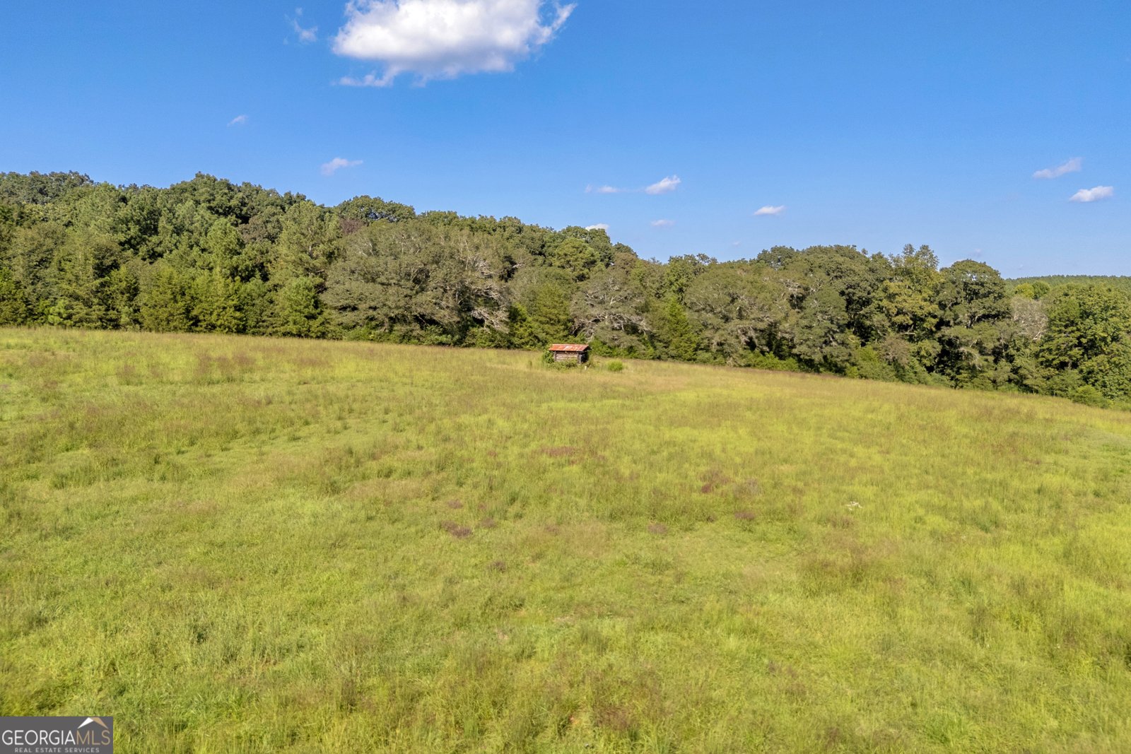 2448 Allen White Road Bowman - 42