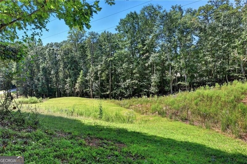 2890 Navajo Circle Gainesville - 29