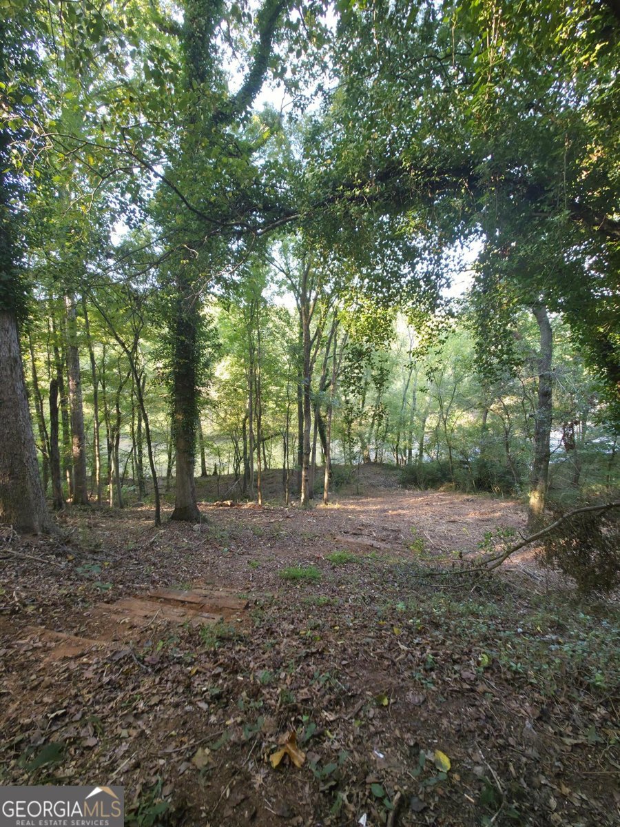 340 Caldwell Circle Athens - 15