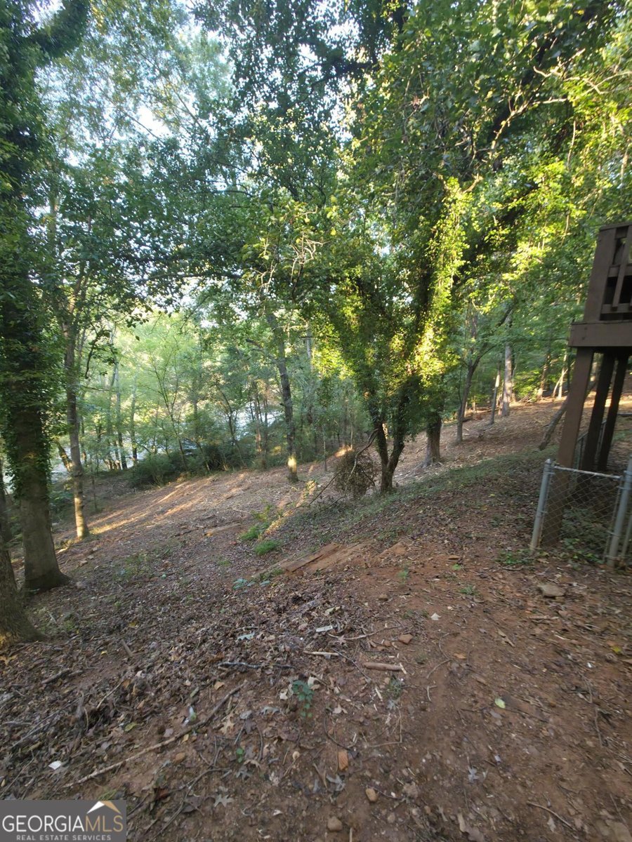 340 Caldwell Circle Athens - 17