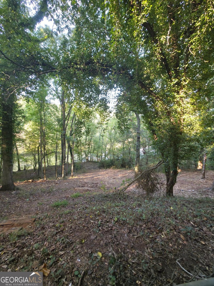 340 Caldwell Circle Athens - 21