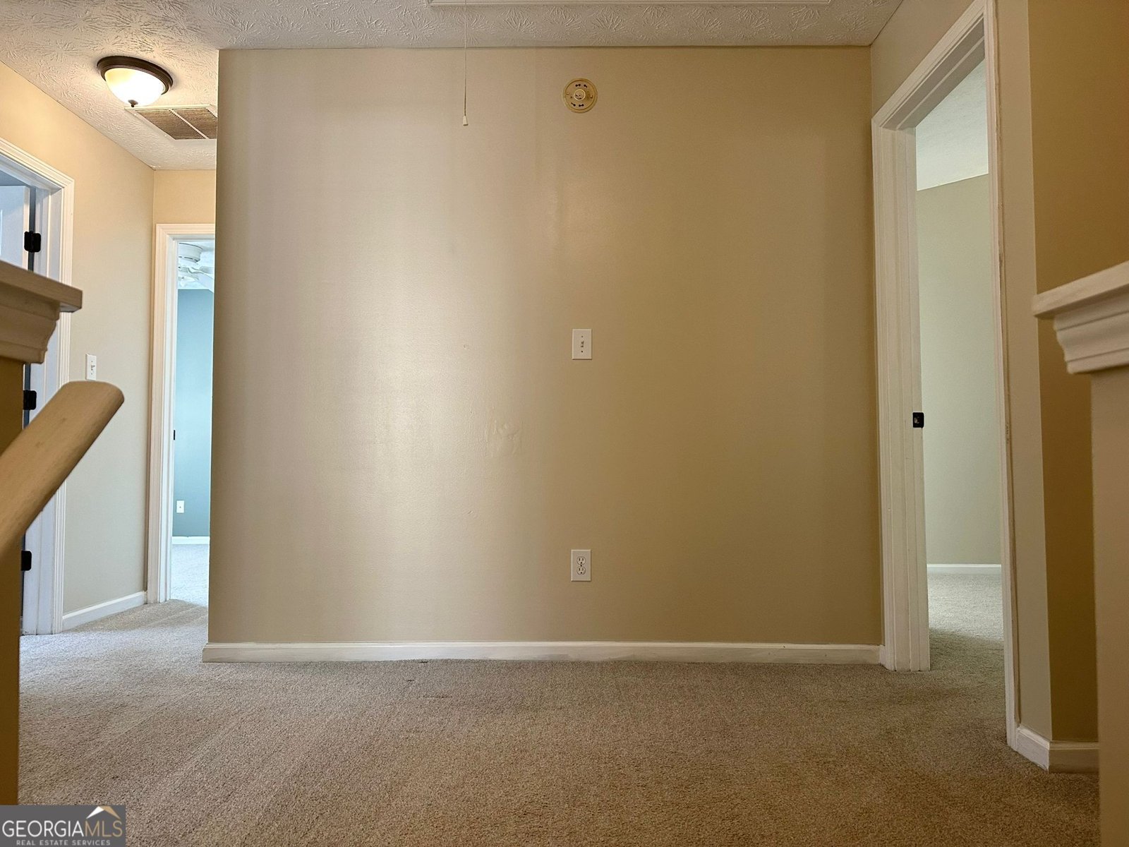 241 WINTHROP Lane Mcdonough - 18
