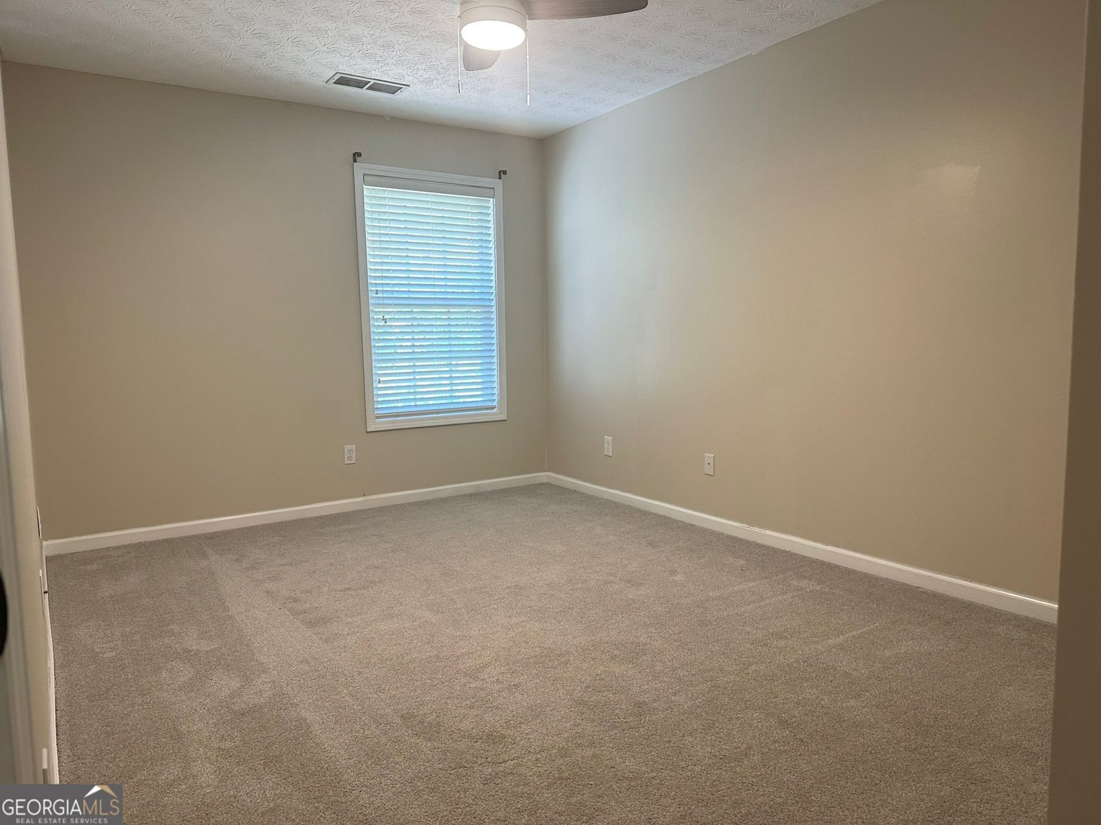 241 WINTHROP Lane Mcdonough - 20
