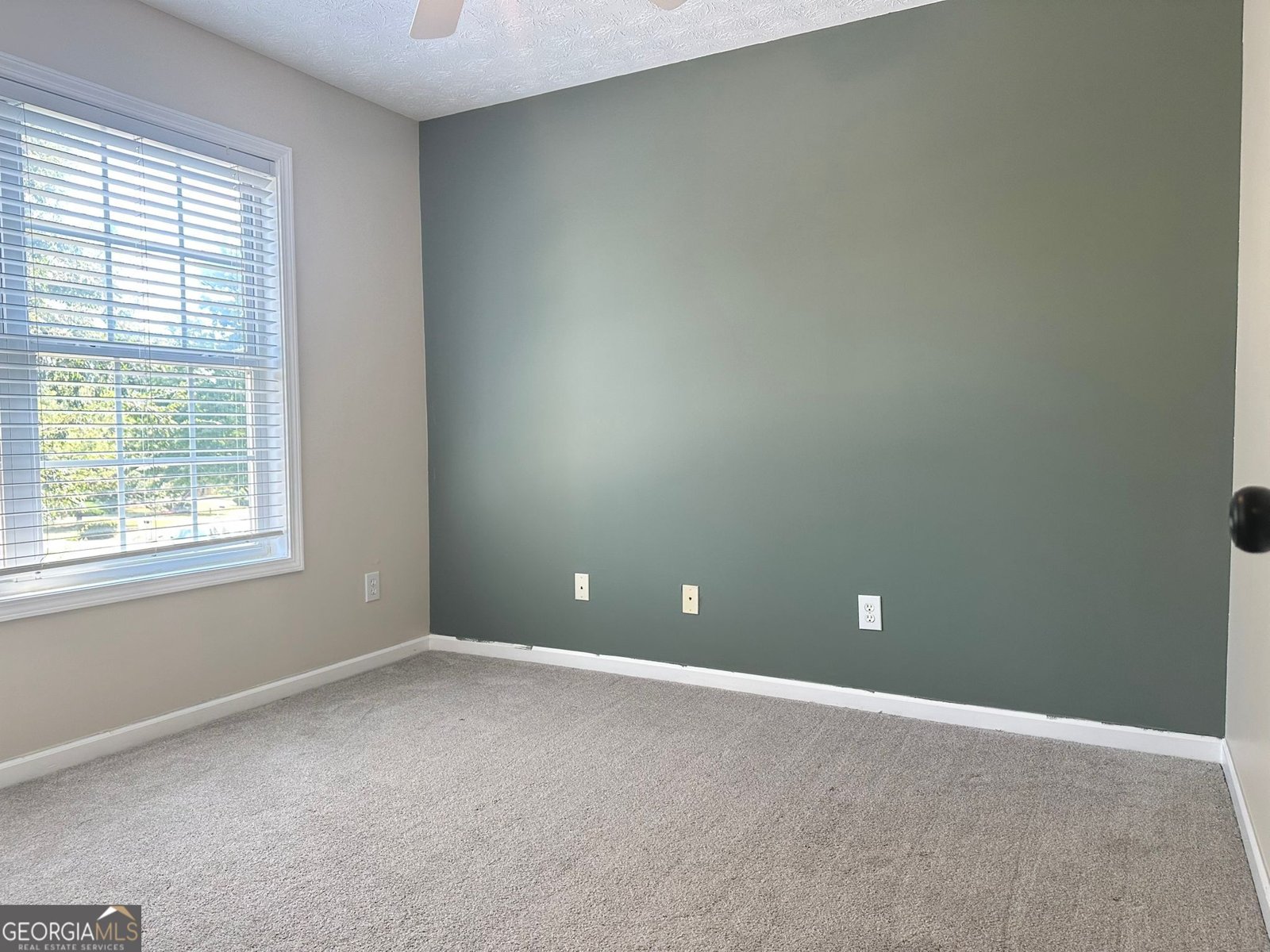 241 WINTHROP Lane Mcdonough - 24
