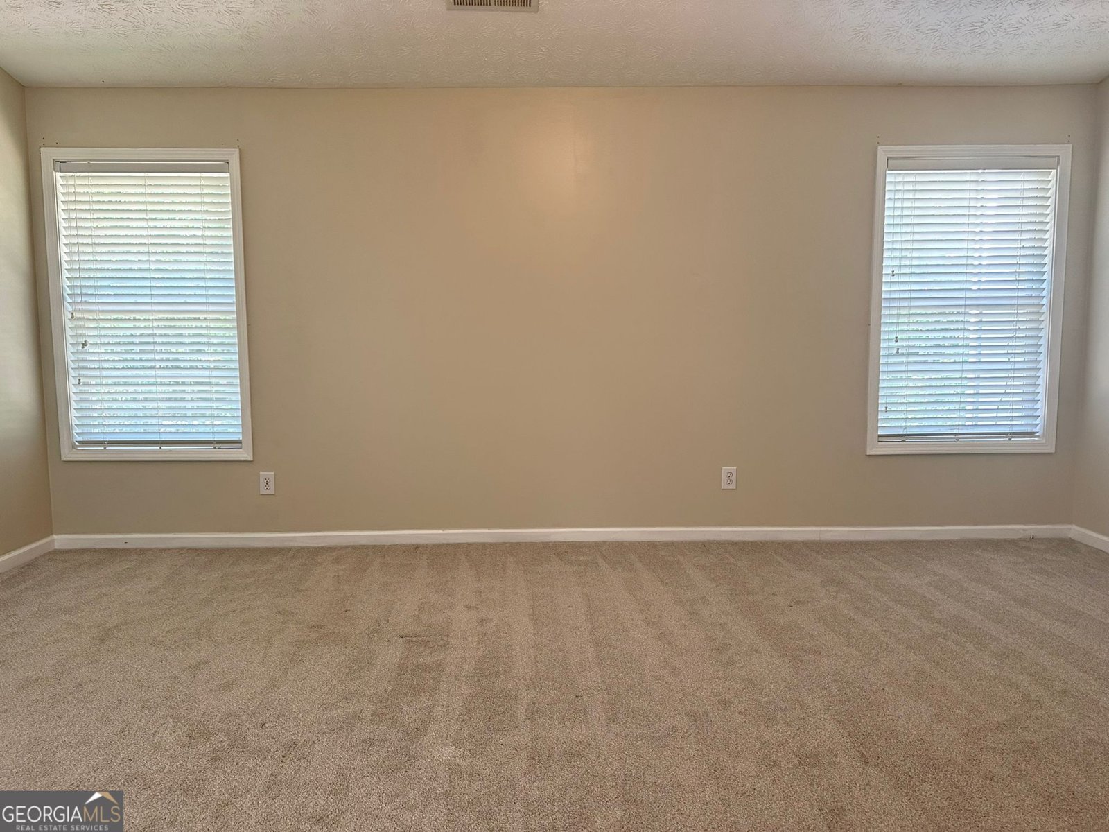 241 WINTHROP Lane Mcdonough - 29