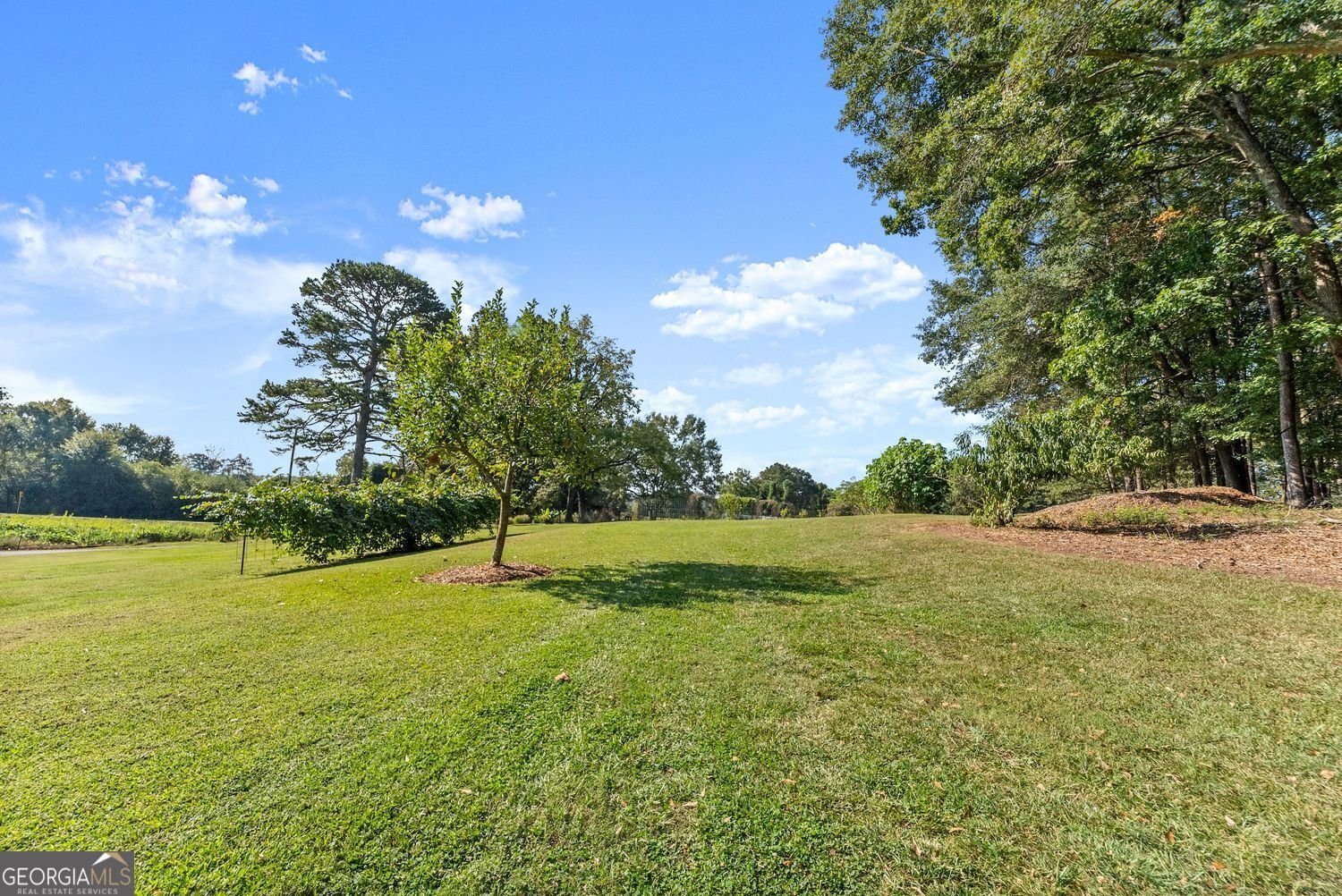 195 Sims Farm Way Maysville - 32